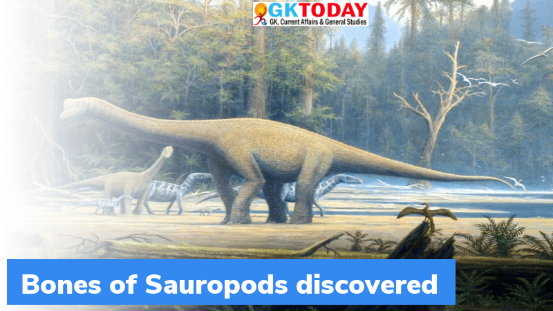 the sauropods