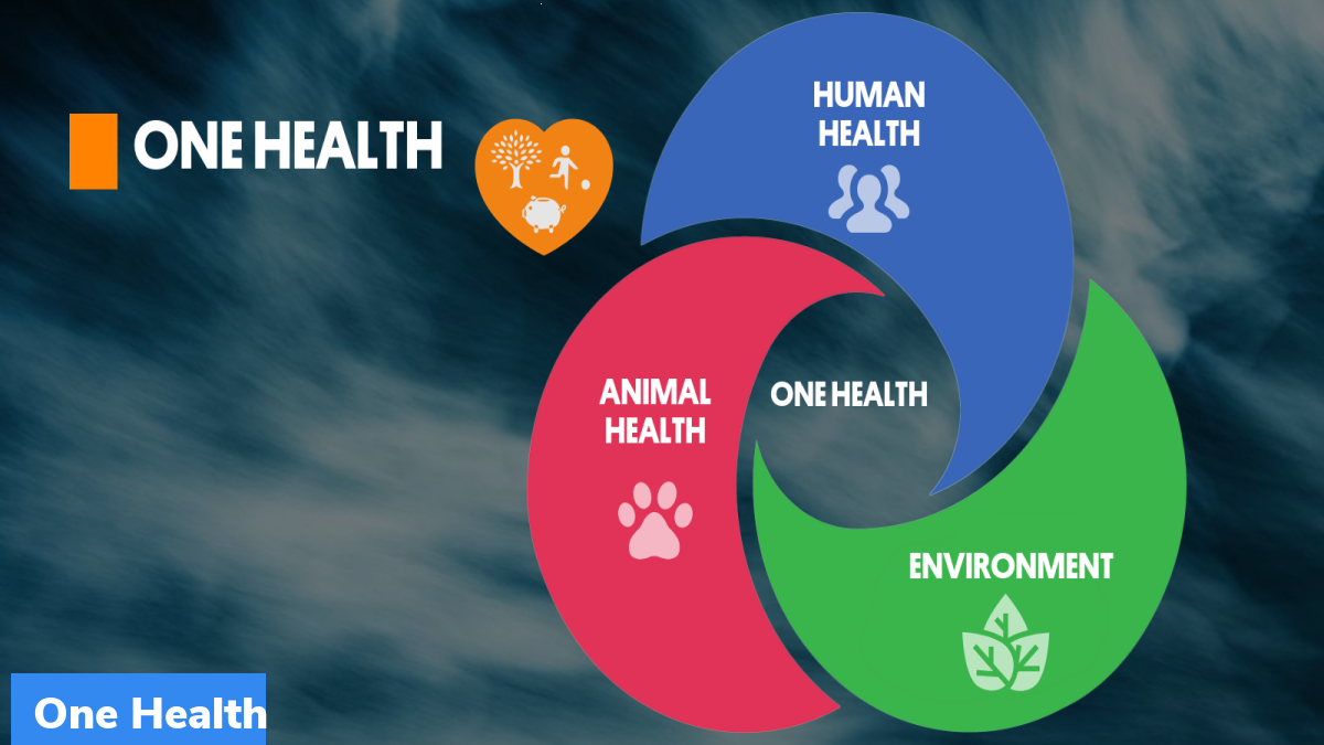 What Is One Health Joint Plan Of Action OH JPA GKToday