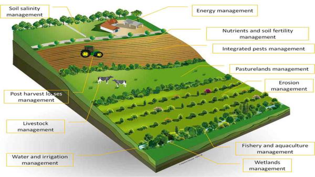 Cropping Pattern Agricultural Productivity Agricultural Intensity 